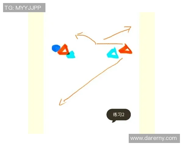 深入分析上海飞盘队区域防守战术的特点与应用策略
